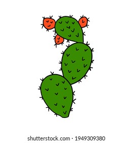 Cartoon doodle cactus isolated on white background. Cute cartoon floral element.