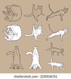 Cartoon Doodle Comic Outline Vector Seamless Pattern And Background Of Zen Meditating Cats In Yoga Pose and Asana, Namaste