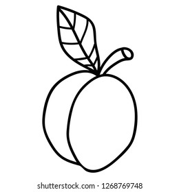 Cartoon doodle linear apricot with leaf isolated on white background. Vector illustration.