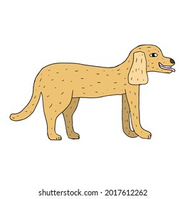 Cartoon doodle linear cute dog isolated on white background. Cute pet. 