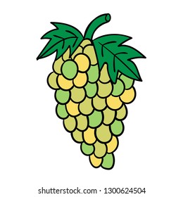 Cartoon doodle linear grapes isolated on white background. Vector illustration.  