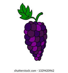 Cartoon doodle linear grapes isolated on white background. Vector illustration.  