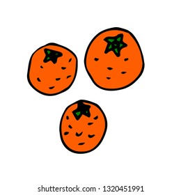 Cartoon doodle linear oranges isolated on white background. Vector illustration. 
 