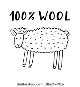 Cartoon doodle linear sheep and lettering of words 100% WOOL isolated on white background. Vector illustration. 