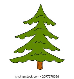 Cartoon doodle linear spruce tree isolated on white background. Forest hand drawn icon.