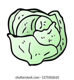 cartoon doodle organic lettuce