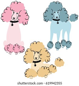 Cartoon doodle poodles isolated on white background. Vector illustration of cute purebred dogs. 