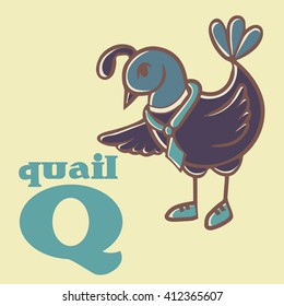 cartoon doodle quail. letter q. part of animal alphabet.