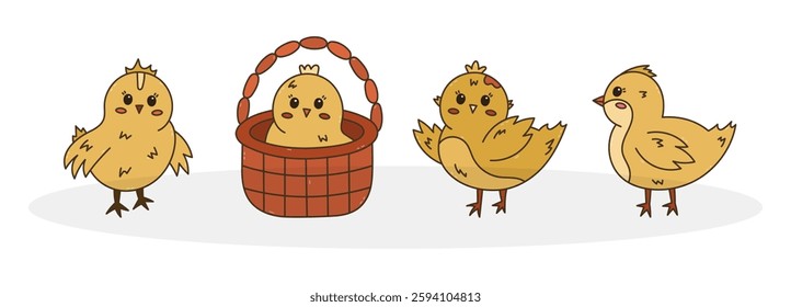 Cartoon doodle set with lovely chick in different poses. Young baby chicken waving hello with wings, in the basket, side view. Cheerful hand drawn farm bird as symbol of Easter isolated on background