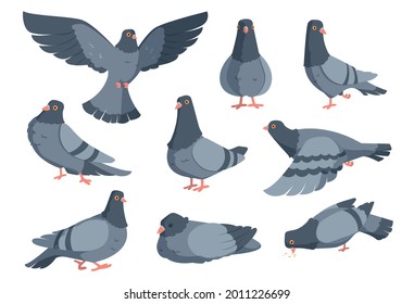 Cartoon dove. Funny pigeon characters. Flying animal in different poses. Wild winged creatures set standing and eating on white. Urban fauna collection. Vector city birds flock in flight