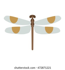 Cartoon dragonfly and flat blue dragonfly