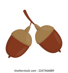 Cartoon drawing of acorns isolated on white background. Autumn aplants vector illustration. Nature, autumn or fall concept