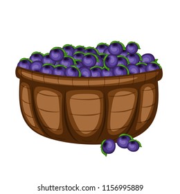 Cartoon Drawing of a Basket with Huckleberries. Berries in a Big Brown Container Vector Illustration