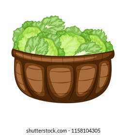 Cartoon Drawing of a Basket with Ice Lettuce. Veggies in a Big Brown Container Vector Illustration