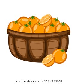 Cartoon Drawing of a Basket with Oranges. Fruits in a Big Brown Container Vector Illustration