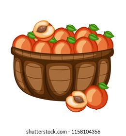 Cartoon Drawing of a Basket with Peach. Fruits in a Big Brown Container Vector Illustration