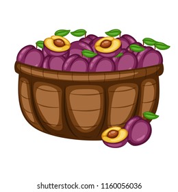 Cartoon Drawing of a Basket with Plum. Fruits in a Big Brown Container Vector Illustration