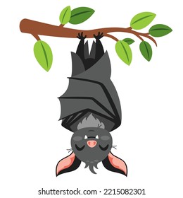 Cartoon Drawing Of A Bat