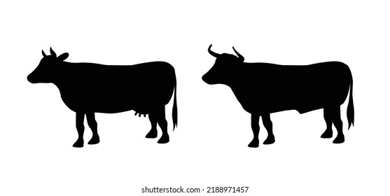 Cartoon Drawing Black Cow And Taurus Or Bull. Vector Cow Silhouette. Farm Animals. Cattle Icon Or Pictogram. Livestock. Cow Fart - Animal Is Producing Greenhouse Gas And Methane. 