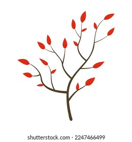 Cartoon drawing of branch with leaves isolated on white background. Autumn tree twig, plant vector illustration. Nature, autumn or fall concept