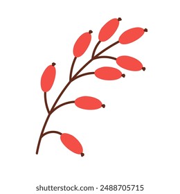 Cartoon drawing of branch with leaves isolated on white background. 