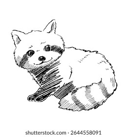 Desenho animado de um personagem guaxinim bonito. Desenho para crianças, livros de histórias ou projetos ao estilo mascote