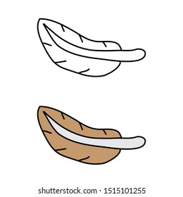 cartoon drawing of a feather