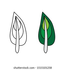 cartoon drawing of a feather