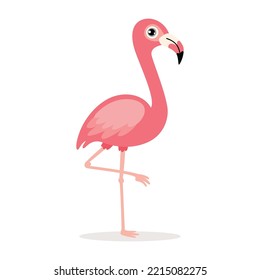 Dibujo De Caricatura De Un Flamingo