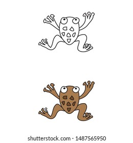 cartoon drawing of a frog