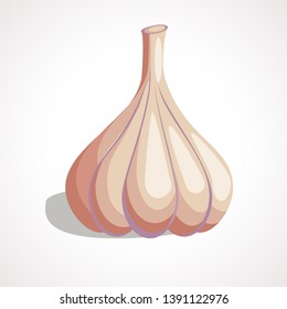 Cartoon drawing of garlic. Garlic icon. Vector illustration. Vegetable from the garden.