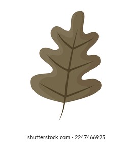 Cartoon drawing of green oak leaf isolated on white background. Autumn plant vector illustration. Nature, autumn or fall concept