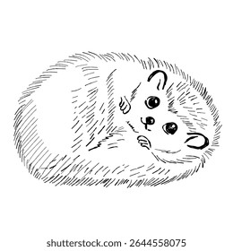 Desenho animado de um personagem de ouriço feliz, ótimo para materiais infantis ou desenhos de animais de floresta