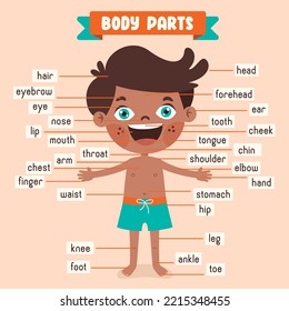 Cartoon Drawing Of Human Body Parts