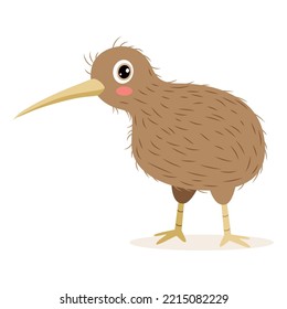 Cartoon Drawing Of A Kiwi Bird