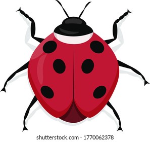 Cartoon-Zeichnung Ladybug. flacher Stil einzeln auf weißem Hintergrund. Vektorgrafik