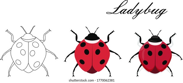 Cartoon drawing ladybug. flat style isolated on white background. vector illustration