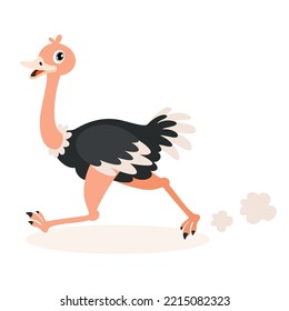 Cartoon Drawing Of An Ostrich