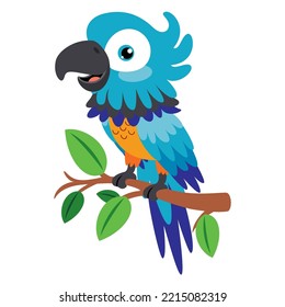 Cartoon Drawing Of A Parrot