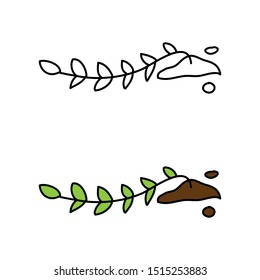 cartoon drawing of a plant