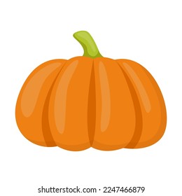 Cartoon drawing of ripe orange pumpkin isolated on white background. Autumn, vegetable vector illustration. Nature, autumn or fall concept