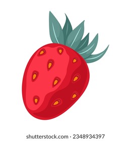 Cartoon drawing of ripe red strawberry on white background. Summer time element vector illustration. Summer, berries, food concept