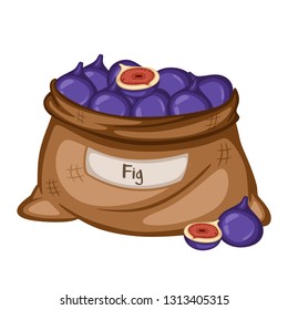 Cartoon Drawing of a Sack with Fig Isolated on White Background. Fruits in a Big Brown Bag Vector Illustration