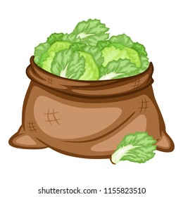 Cartoon Drawing of a Sack with Ice Lettuce. Veggies in a Big Brown Bag Vector Illustration
