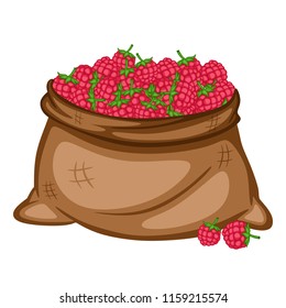 Cartoon Drawing of a Sack with Raspberries. Berries in a Big Brown Bag Vector Illustration