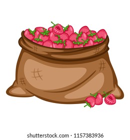 Cartoon Drawing of a Sack with Strawberries. Berries in a Big Brown Bag Vector Illustration