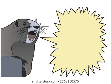 Cartoon drawing of a screaming beaver with burst balloons. Muskrat meme shout balloons. Vector illustration isolated on white background.