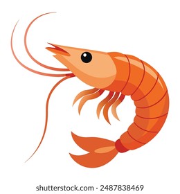 a cartoon drawing of a shrimp with a black eye and a white background.