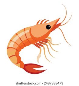 a cartoon drawing of a shrimp with a black eye and a white background.