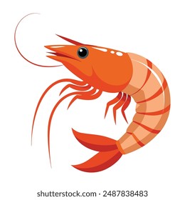 a cartoon drawing of a shrimp with a black eye and a white background.